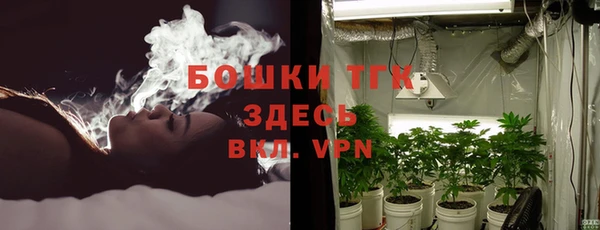 бошки Богданович