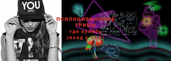 бошки Богданович