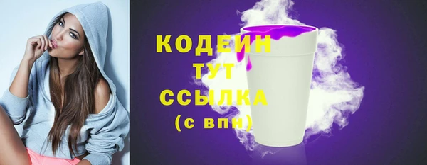 дживик Богородск
