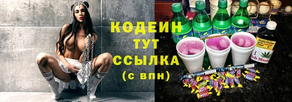 дживик Богородск