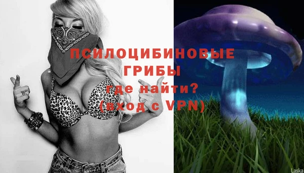 бошки Богданович