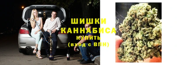 дживик Богородск